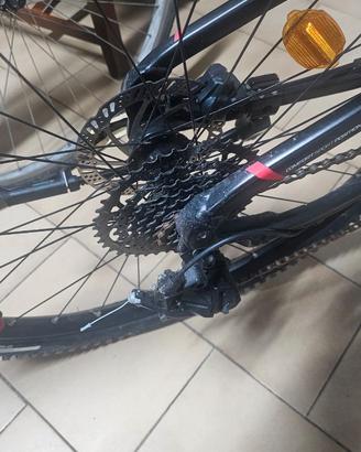 Bicicletta
