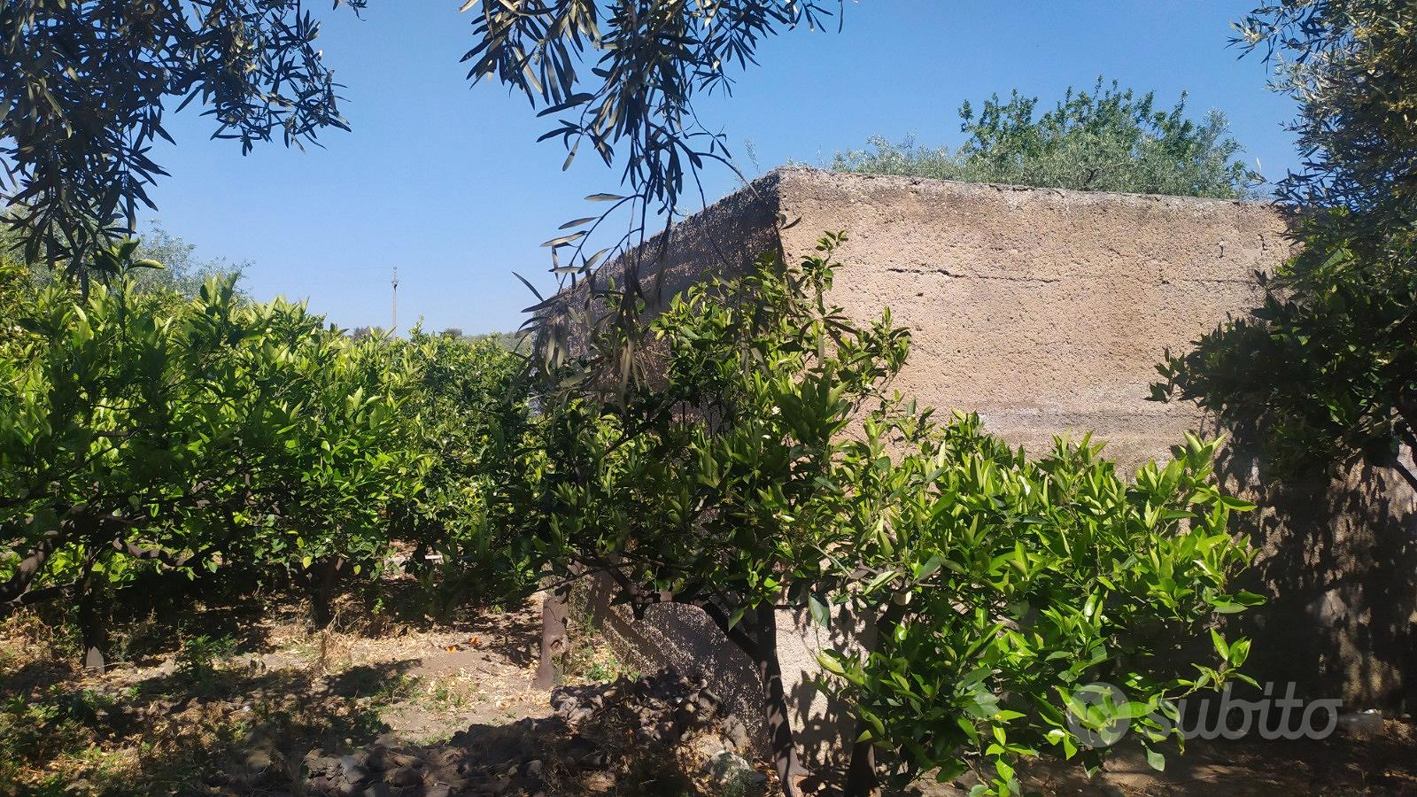 Vendita terreno agricolo - Vista 2