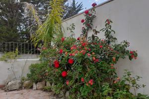 Sulmare villetta clima giardino/p.auto