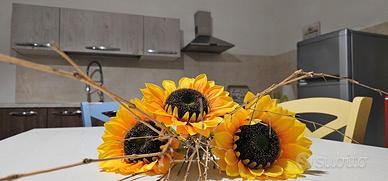 Appartamento a 30 mt dalla spiaggia con vista mare