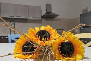 Appartamento a 30 mt dalla spiaggia con vista mare