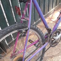 Bicicletta  mbk