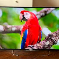 Televisore Sony Bravia 42W828B
