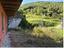 Immagine 7