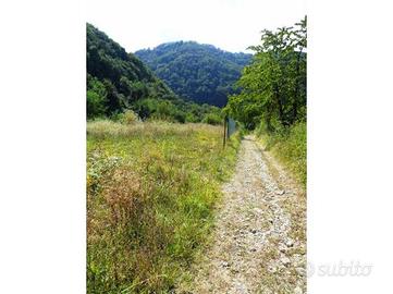Terreno agricolo Cordova -Castiglione Torinese