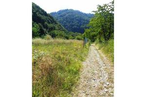 Terreno agricolo Cordova -Castiglione Torinese