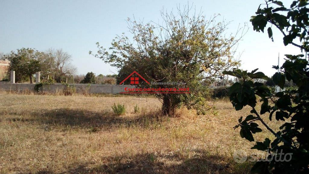 Terreno agricolo a Melissano di circa 9.000 mq - Altro