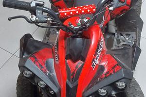 quad thor 1000 watt 36v 3 velocità