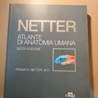 Atlante di anatomia umana Netter sesta edizione