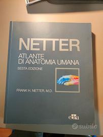 Atlante di anatomia umana Netter sesta edizione