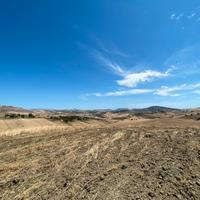 Terreno agricolo - contrada Abbazia Satuzza