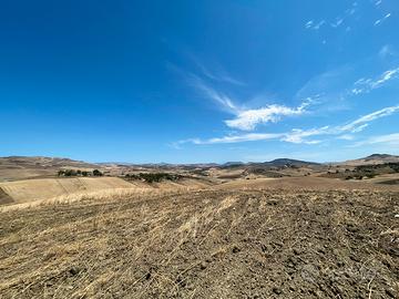 Terreno agricolo - contrada Abbazia Satuzza