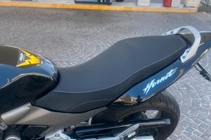 Honda hornet