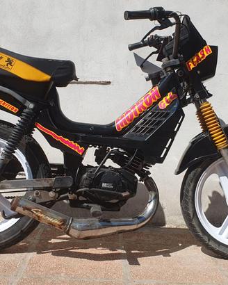 motron GL4 (totalmente revisionato)