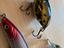 Immagine 2