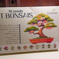 Kit Bonsai per coltivare 10 tipi di bonsai diversi