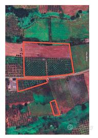 Terreno agricolo di 20.325 mq