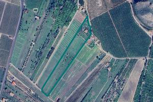 Rustico e terreni a Lentini (SR)