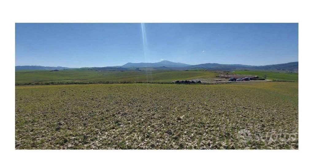 Immobile in asta di 508625 m² a Castiglione d'Orci - Vista 2