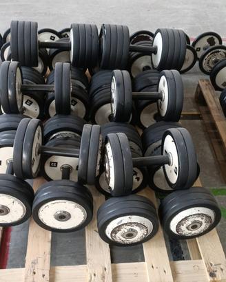 serie manubri technogym 4/34kg