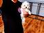 Immagine 24