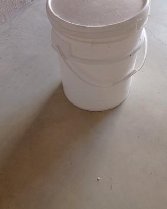 secchi da pittura vuoti