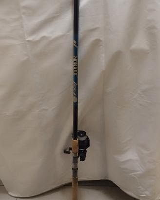 Canna Trota Carson 4,20 mt