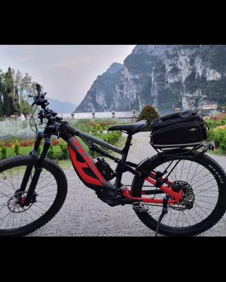 Bici elettrica