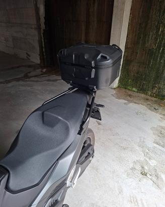 scooter honda