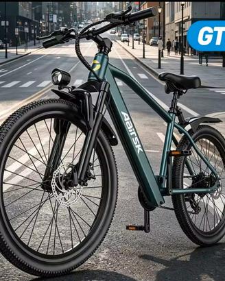bici elettrica 