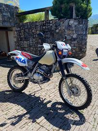 Honda XR 250