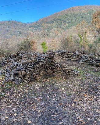 Legna di quercia