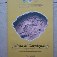 Prima di Carpignano.