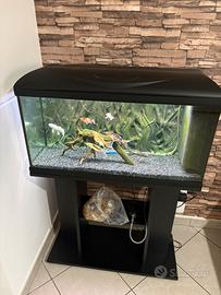 Acquario completo di tutto