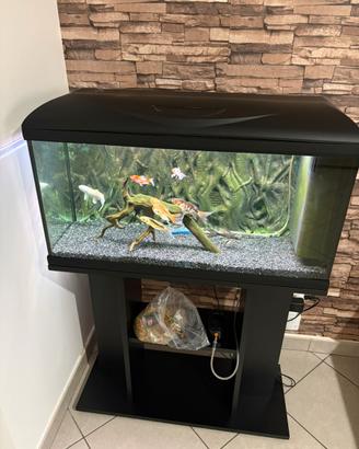 Acquario completo di tutto