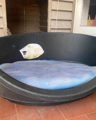 Cuccia cane da interno