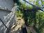 Immagine 28