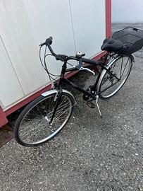 Bici Alpina