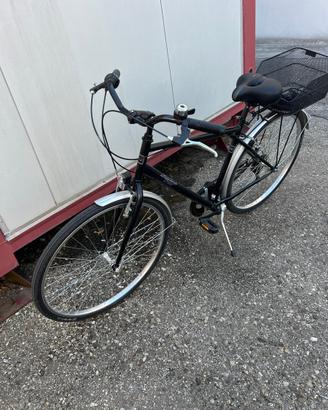 Bici Alpina