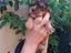 Immagine 3