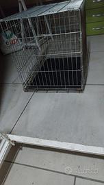 Accessori cane