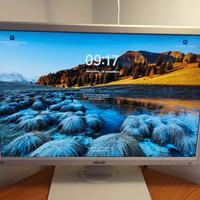 Monitor ASUS modello BE24A