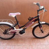 Bicicletta  20