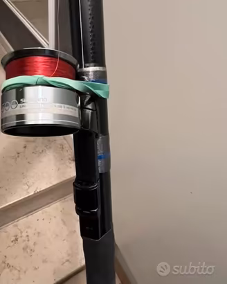 Bolognese Daiwa
