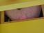 Immagine 6