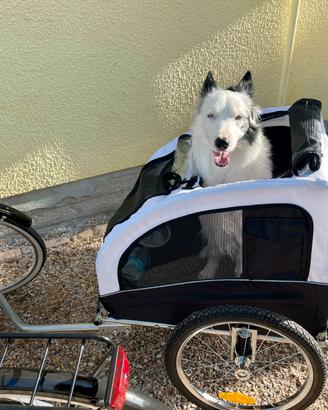 Carrello per trasporto cane cani bambini