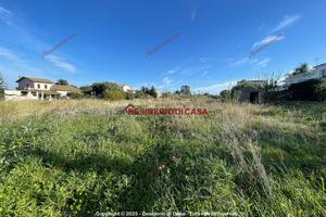 Terreno, Montegrappa - Santa Rosalia, Palermo.