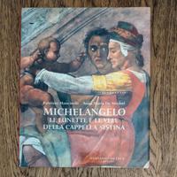 Michelangelo, le lunette e le vele della Cappella