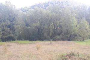 RGE 70/2021 - Tribunale di Urbino - Lotto 8