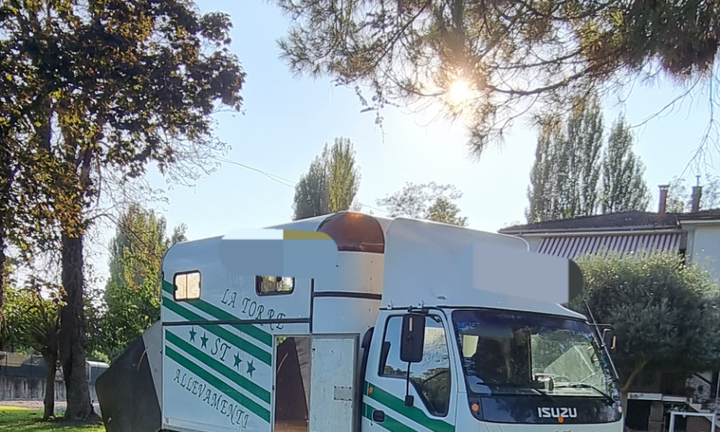 Furgone trasporto cavalli pat.B